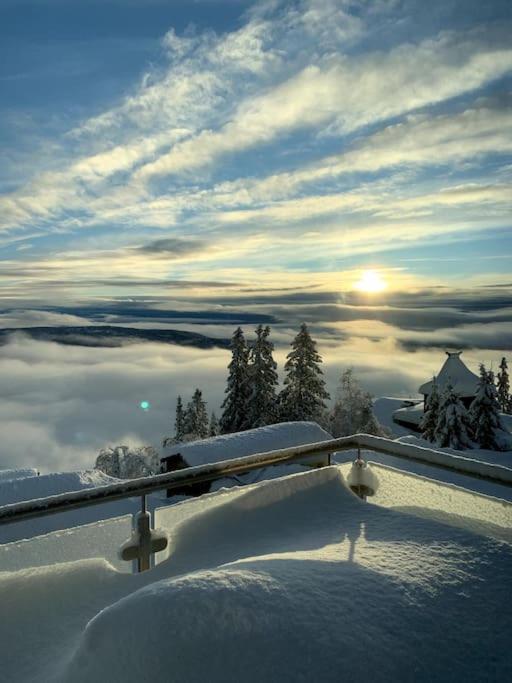 Cosy Apartment With Ski In/Out Noresund エクステリア 写真